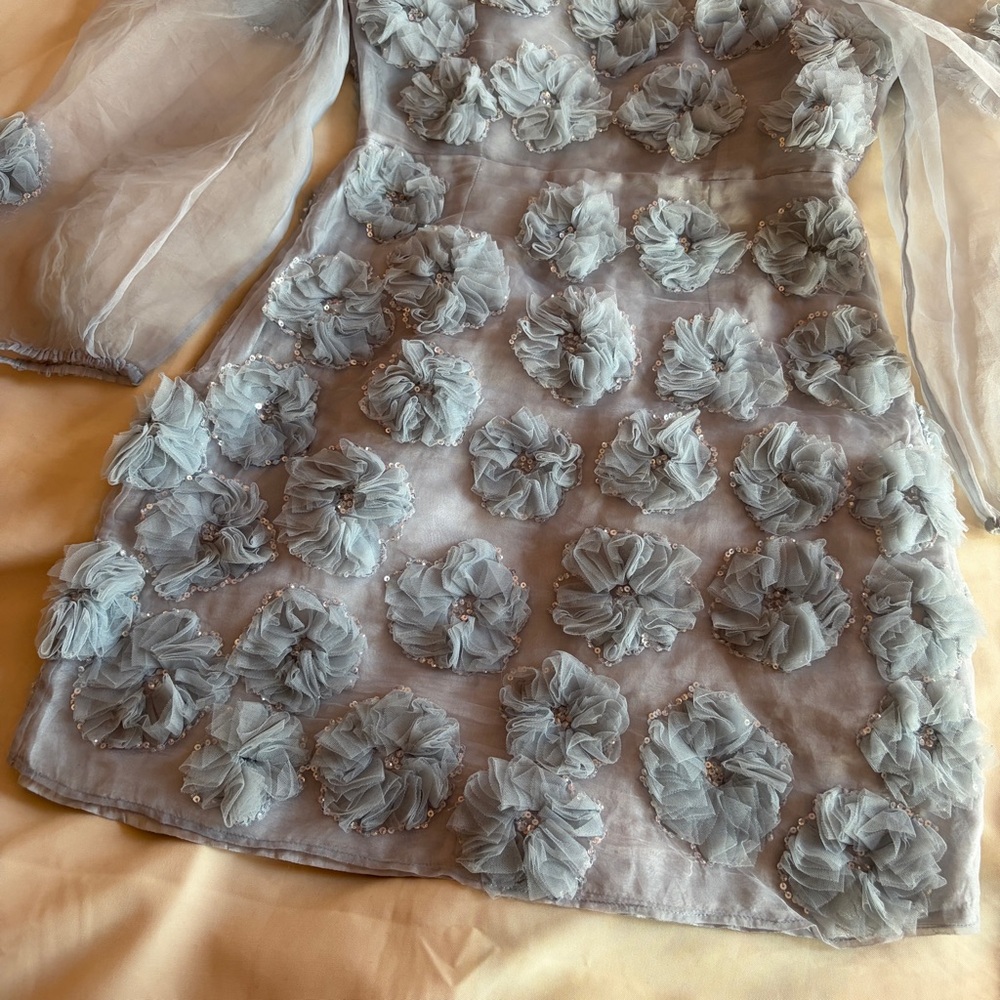 LOVESHACKFANCY- Wells Appliquéd Organza Mini Dress In Blue Size 0 Sheer Sleeve - Picture 7 of 9